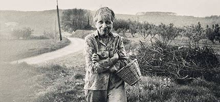 Marcelle Rivier Tapestries and Rugs